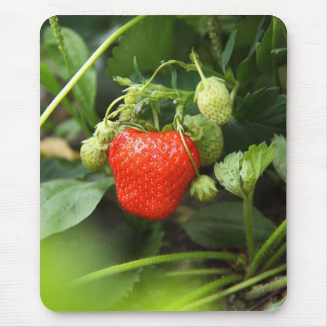 Mousepad-Erdbeere Mousepad (Vorne)