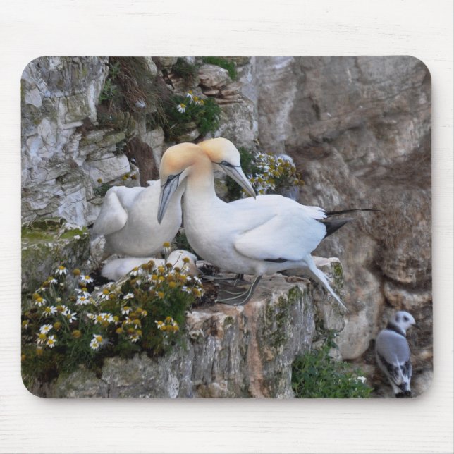 Mousepad: Gannets und Blumen Mousepad (Vorne)