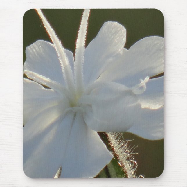 Mousepad glänzende weiße Blume (Vorne)