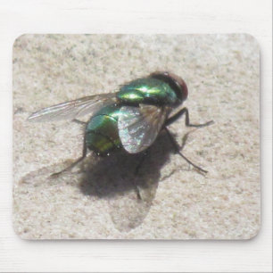 Mousepad - Hausfliegen