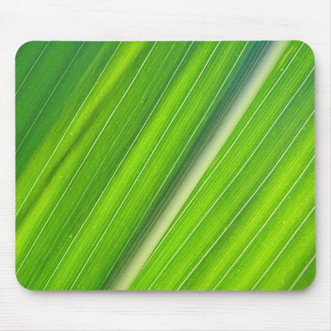 Mousepad hellgrünes Maisblattdesign (Vorne)