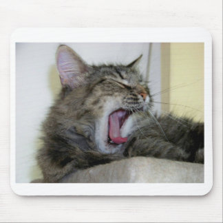 Mousepad Katze