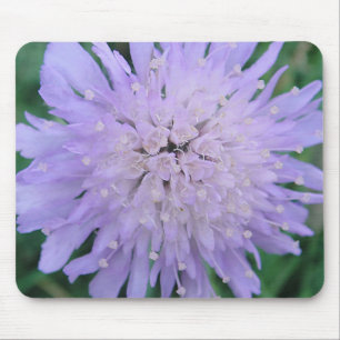Mousepad lila Scabiosa