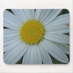 Mousepad Margerite in weiß