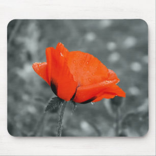 Mousepad mit Farbtaste