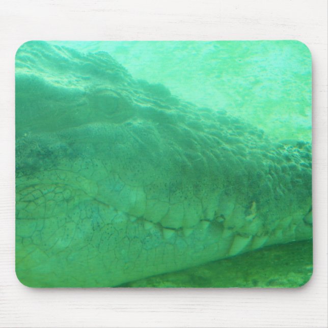 Mousepad mit grüner Gatorfläche (Vorne)
