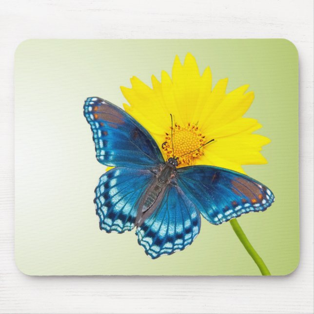 Mousepad mit Schmetterling und Blume (Vorne)