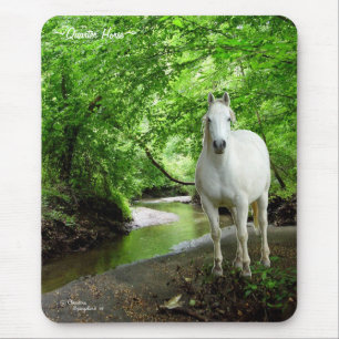Mousepad - Mousepad-Wald