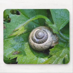 Mousepad Schnecke auf Blatt mit Wassertröpfchen