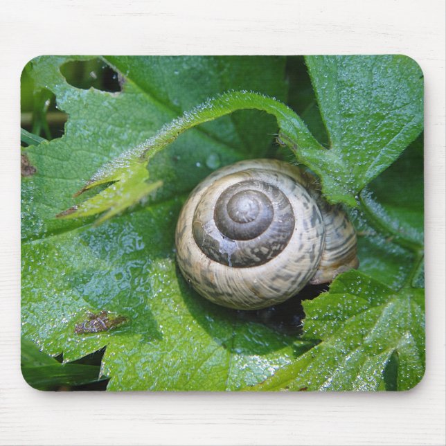 Mousepad Schnecke auf Blatt mit Wassertröpfchen (Vorne)