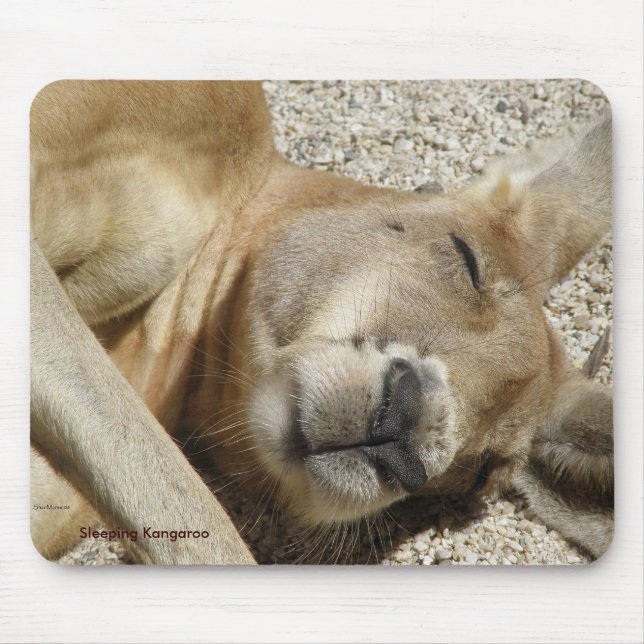 Mousepad Sleeping Kangaroo Foto Australien (Vorne)