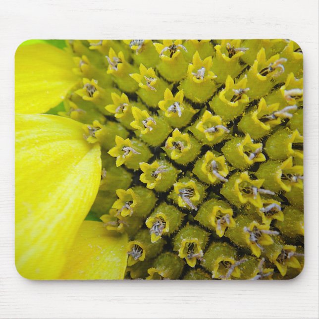 Mousepad Sonnenblumenblütchen (Vorne)