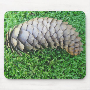 Mousepad Tannenzapfen auf Moos