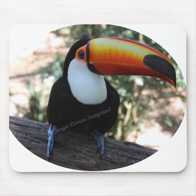 Mousepad Toucan (Vorne)