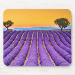 Mousepad Valensole - Provence Frankreich