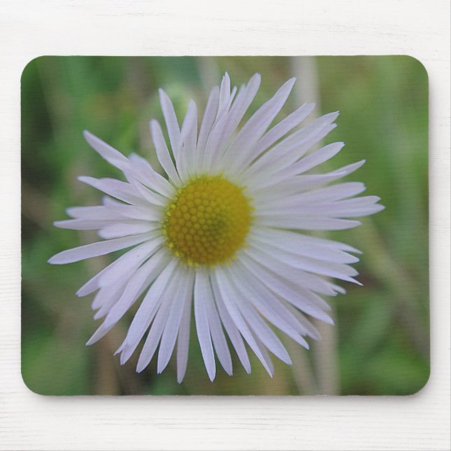 Mousepad weisse Wildblüte (Vorne)