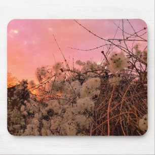Mousepad Winter Sunset and Clematien Vines