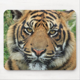 Mousepadtiger Mousepad