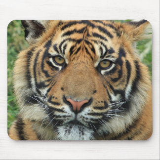 Mousepadtiger Mousepad