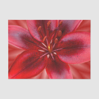 Mousseline 4 formats de papier cadeau de tissus - Lily asiati