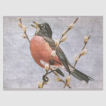 American Robin Bird Découpage papier de papier de 