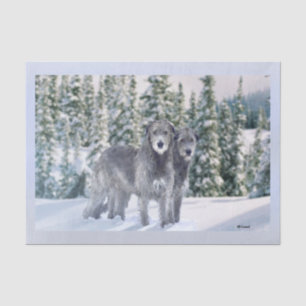 Mousseline Beau papier de fond de scène de Wolfhound irlandai