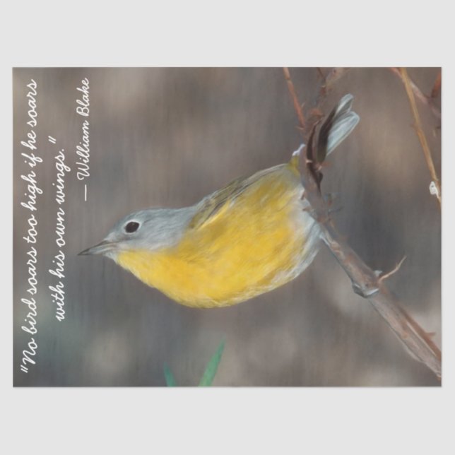 Mousseline Beau papier Tissu Oiseau (Recto)