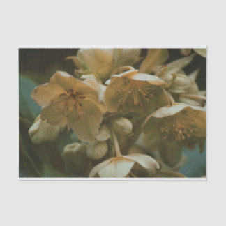 Mousseline Belle fleur fleurie Tissu Papier