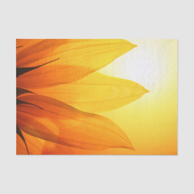 Mousseline Belle tournesol - Papier Tissu (Recto)