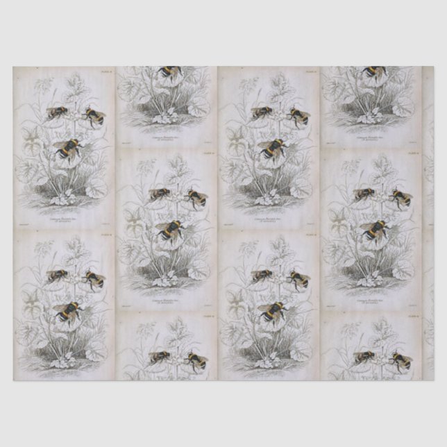Mousseline Bumble Bee Botanique Papier Tissu (Recto)