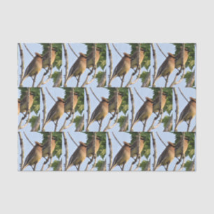Mousseline Cèdre - Jardin Bird Tissu Papier