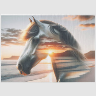 Mousseline Cheval sauvage Chincoteague Island Papier de décou