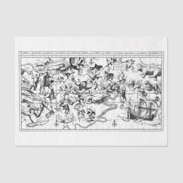 Mousseline Constellations de zodiac noir blanc papier de tiss (Recto)