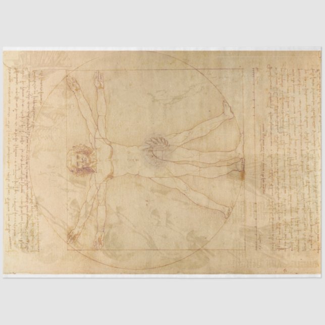 Mousseline Da Vinci Vitruvivić Papier de découpage (Recto)