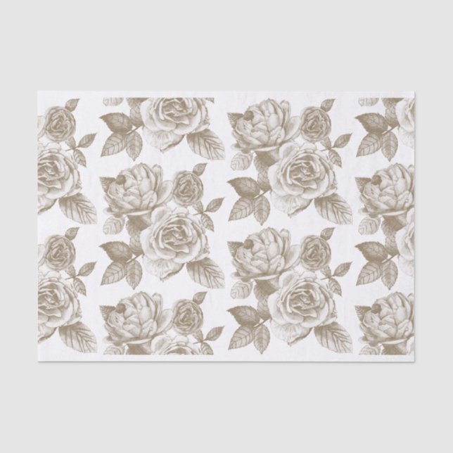 Mousseline Dessin rose papier de tissus à Sepia (Recto)