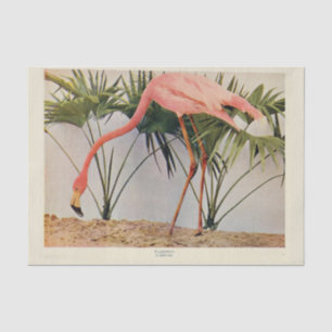 Mousseline Flamant rose Ephémère Découpage Papier de tissus