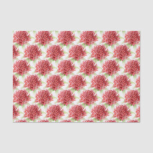 Mousseline fleur de Waratah aquarelle rouge papier tissue bot