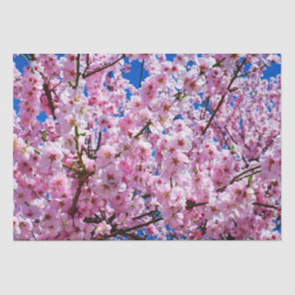 Mousseline Fleurs de cerisiers en papier tissu