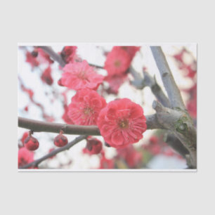 Mousseline fleurs de prune printemps rose fleurs tissu papier