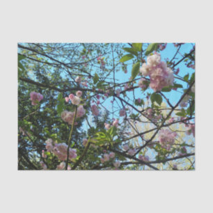 Mousseline Flower Cherry Tree Blossom Nature, papier de tissu