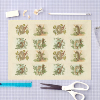 Mousseline Illustrations de nid d'oiseaux vintage Papier de d