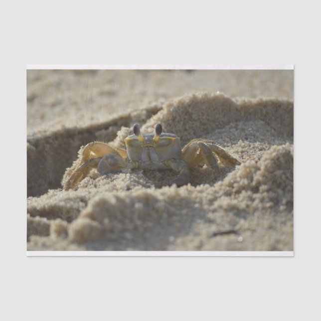 Mousseline Le crabe dans le papier de découpage du sable (Recto)