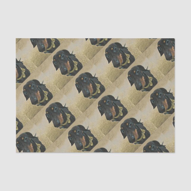 Mousseline LeBron le papier d'enveloppement Dachshund. (Recto)