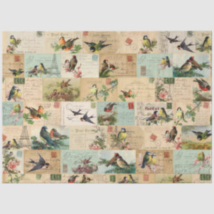 Mousseline Oiseaux et cartes postales Collage Ephemera Papier