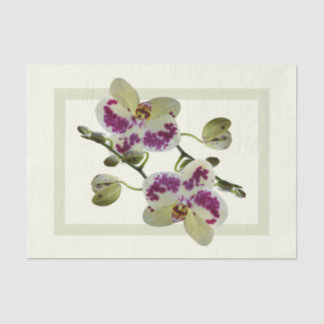 Mousseline Orchidées Jaunes Riche Papier Cadeaux Tissus