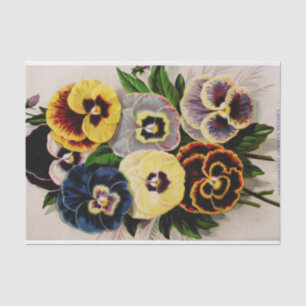 Mousseline Pansy Antique German Variétés Garden Papier de tis