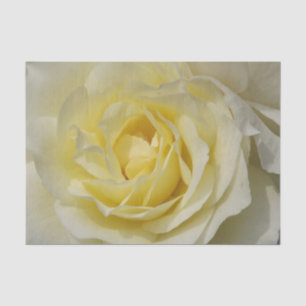 Mousseline Papier blanc