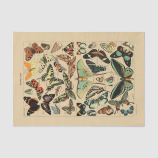 Mousseline Papier de découpage 10"x15" - Papillon Vintage Art