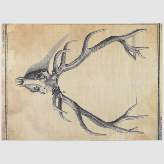 Mousseline Papier de découpage Antler (Recto)