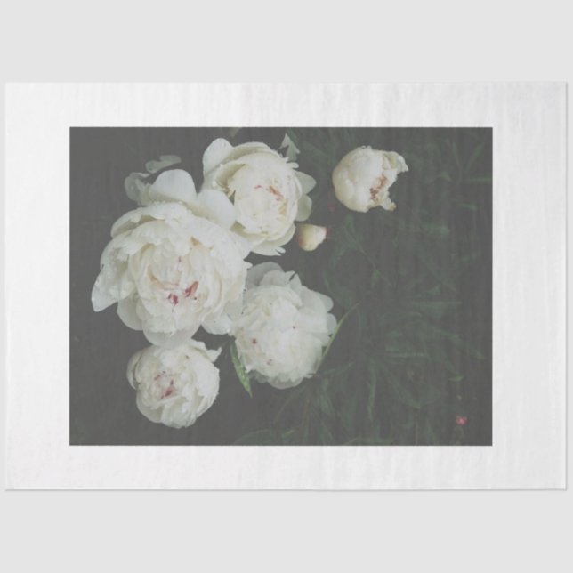 Mousseline Papier de découpage blanc (Recto)